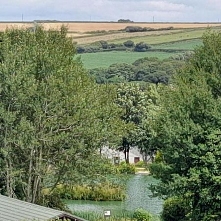 Villa Lake View à New Quay Extérieur photo