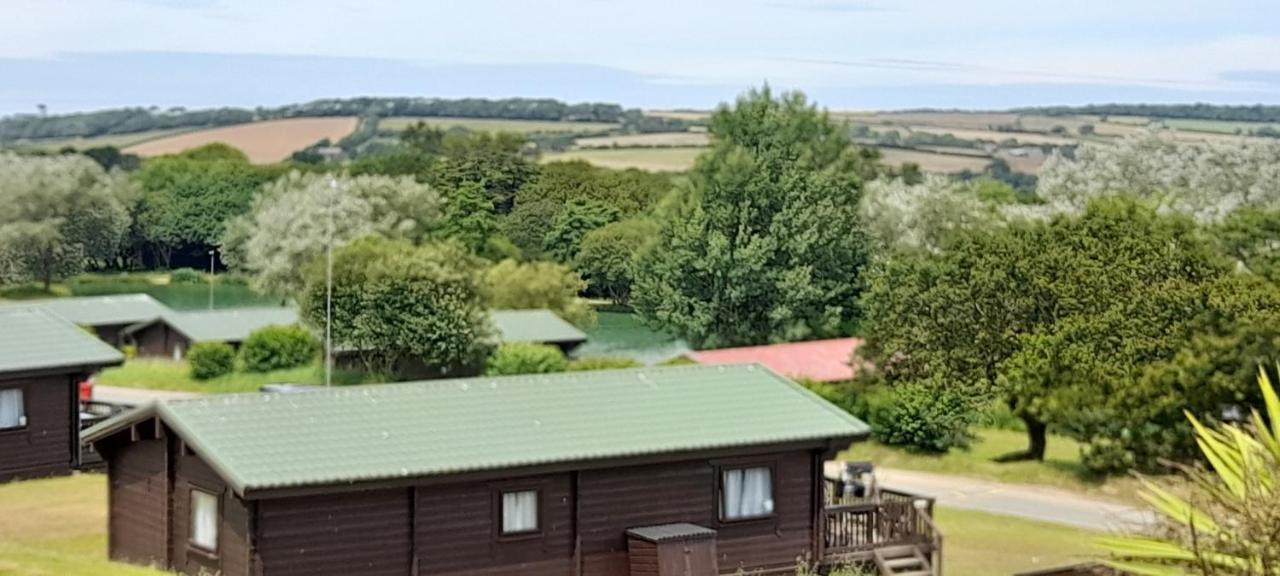 Villa Lake View à New Quay Extérieur photo