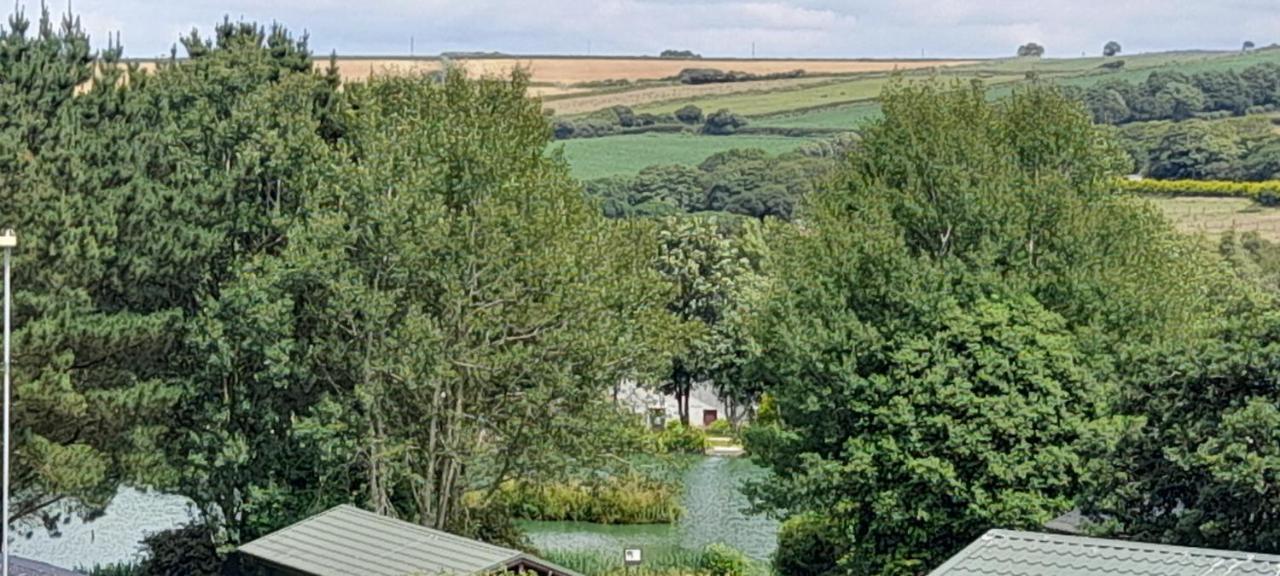 Villa Lake View à New Quay Extérieur photo